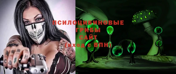 стафф Арсеньев