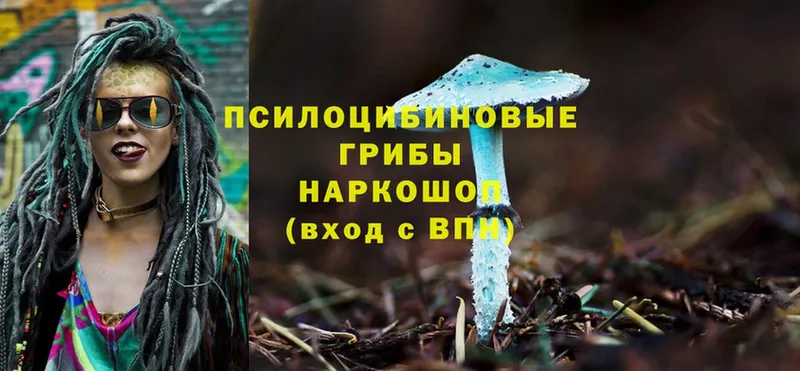 Галлюциногенные грибы Cubensis  Бикин 